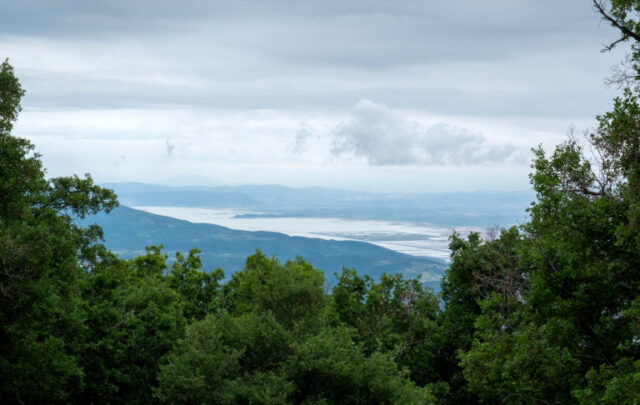 Valley of Larissa in Thessaly.